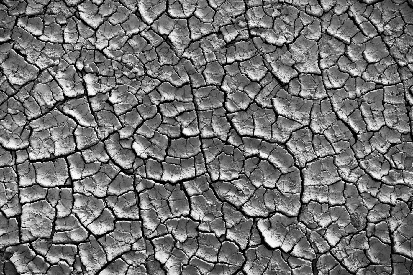 Death_Valley_National_Park_Mud_Cracks